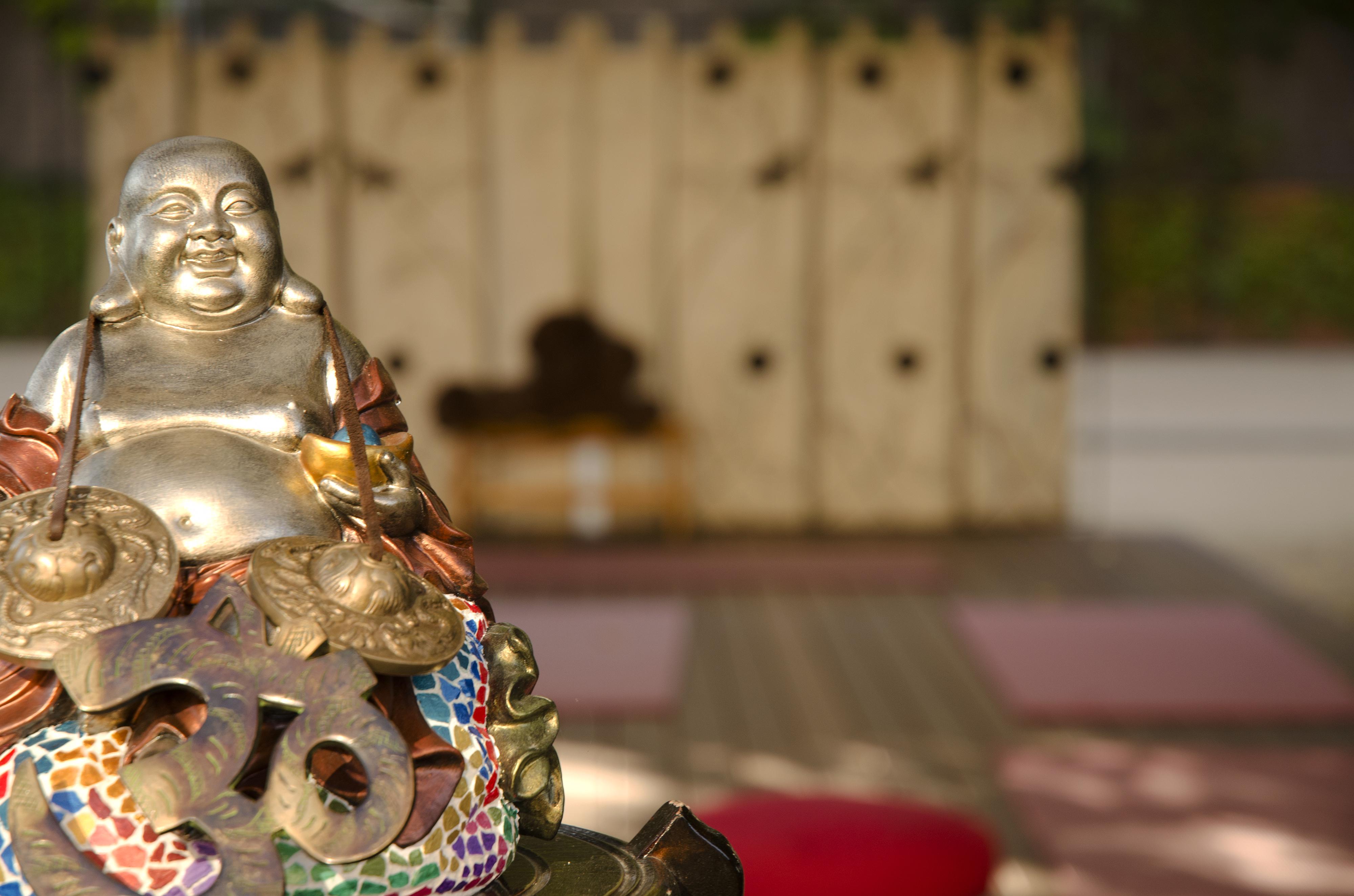 Luna Park Yoga & 3*